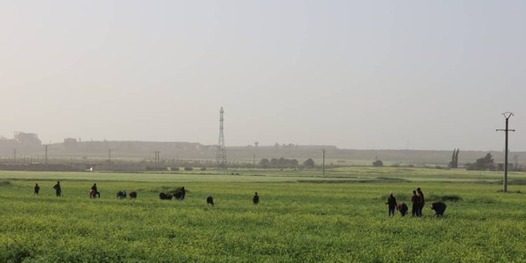 Besê Erzîncan: Têkoşîna li dijî mêr, hunerek e