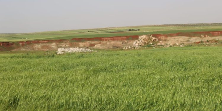 Besê Erzîncan: Têkoşîna li dijî mêr, hunerek e