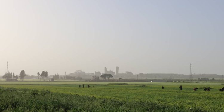 Besê Erzîncan: Têkoşîna li dijî mêr, hunerek e