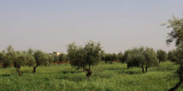 Besê Erzîncan: Têkoşîna li dijî mêr, hunerek e