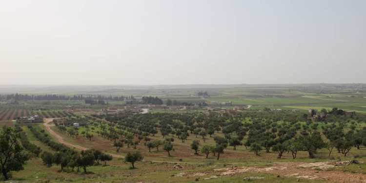 Besê Erzîncan: Têkoşîna li dijî mêr, hunerek e