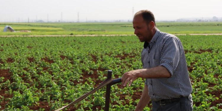 Besê Erzîncan: Têkoşîna li dijî mêr, hunerek e