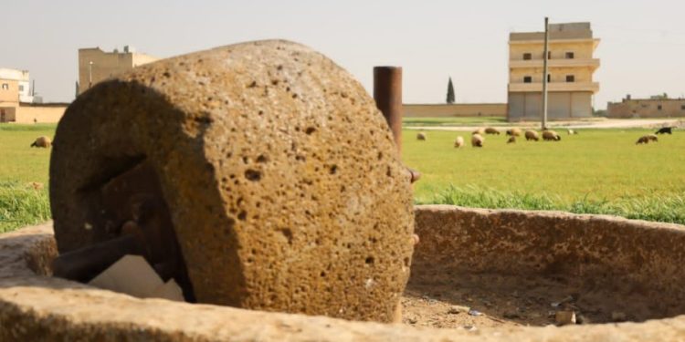 Besê Erzîncan: Têkoşîna li dijî mêr, hunerek e