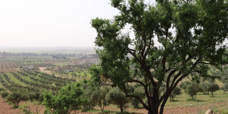 Besê Erzîncan: Têkoşîna li dijî mêr, hunerek e