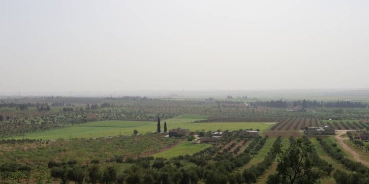 Besê Erzîncan: Têkoşîna li dijî mêr, hunerek e