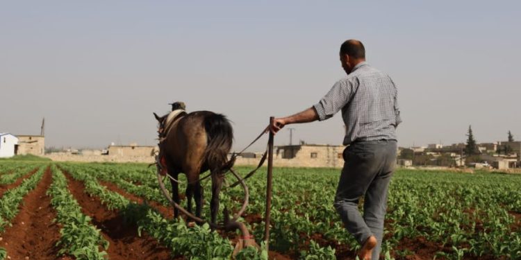 Besê Erzîncan: Têkoşîna li dijî mêr, hunerek e