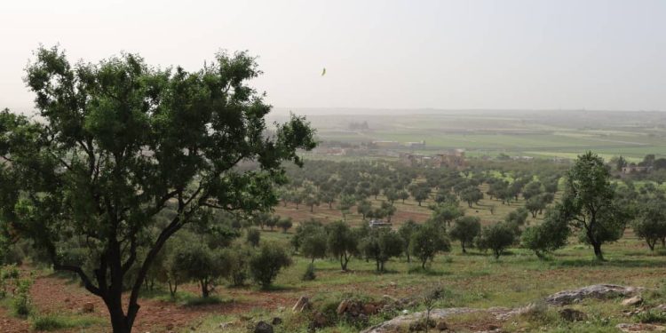 Besê Erzîncan: Têkoşîna li dijî mêr, hunerek e