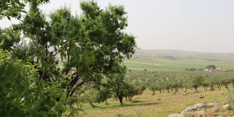 Besê Erzîncan: Têkoşîna li dijî mêr, hunerek e