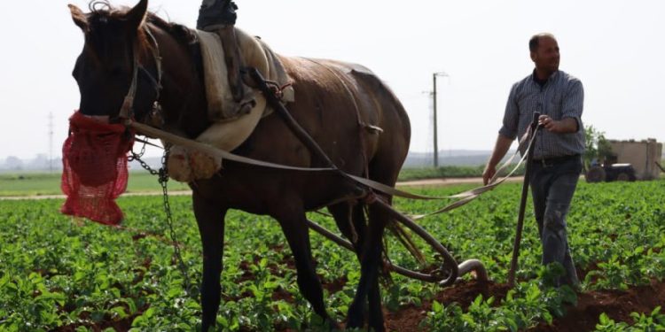 Besê Erzîncan: Têkoşîna li dijî mêr, hunerek e
