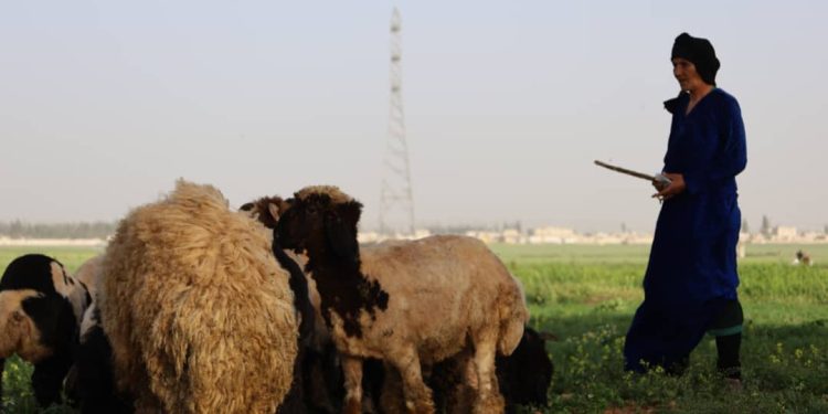 Besê Erzîncan: Têkoşîna li dijî mêr, hunerek e