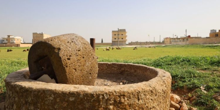 Besê Erzîncan: Têkoşîna li dijî mêr, hunerek e