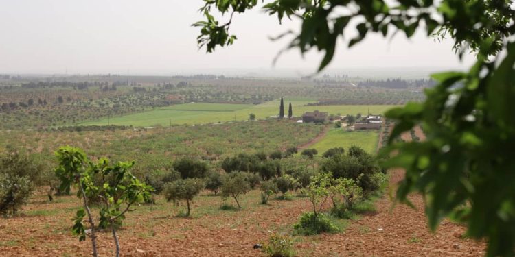 Besê Erzîncan: Têkoşîna li dijî mêr, hunerek e