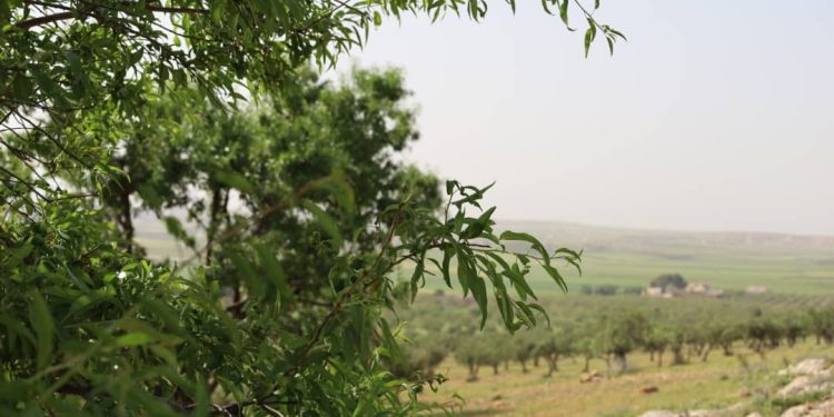 Besê Erzîncan: Têkoşîna li dijî mêr, hunerek e