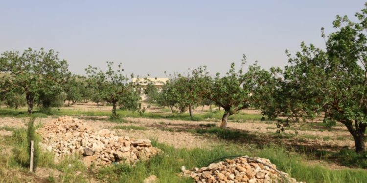 Besê Erzîncan: Têkoşîna li dijî mêr, hunerek e