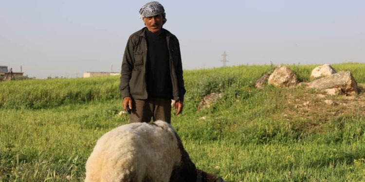 Besê Erzîncan: Têkoşîna li dijî mêr, hunerek e