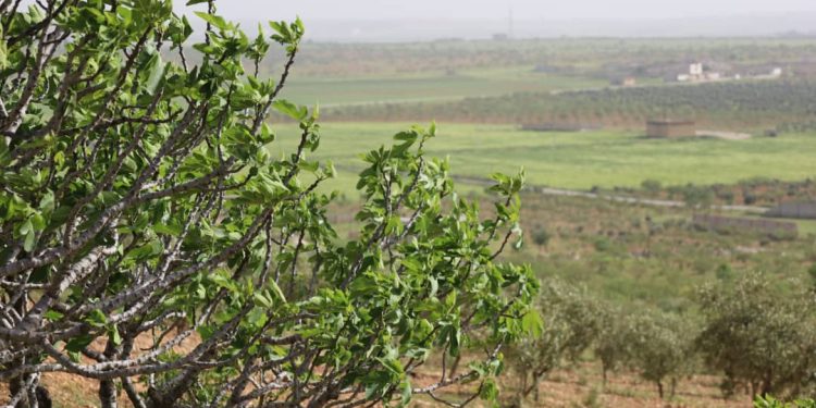Besê Erzîncan: Têkoşîna li dijî mêr, hunerek e