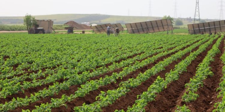 Besê Erzîncan: Têkoşîna li dijî mêr, hunerek e