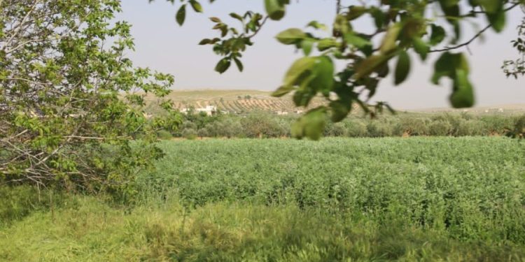 Besê Erzîncan: Têkoşîna li dijî mêr, hunerek e