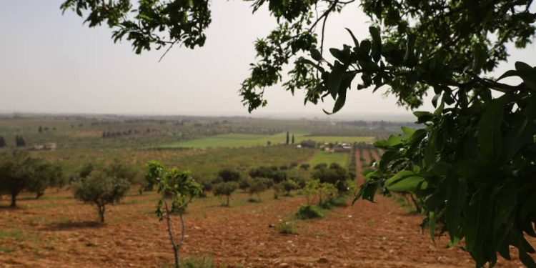 Besê Erzîncan: Têkoşîna li dijî mêr, hunerek e