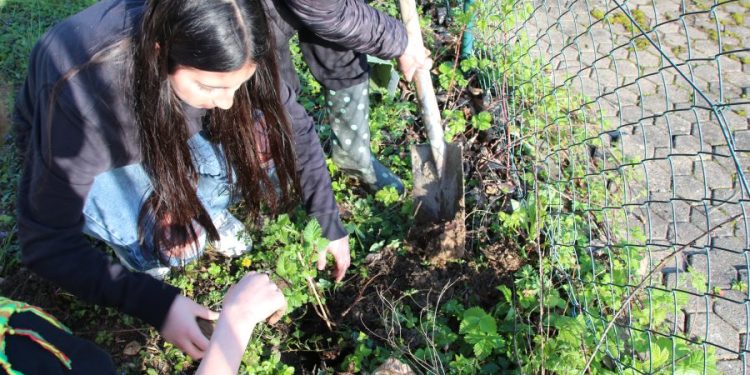 TekoJIN’ê bi jinên ciwan re li ser dîroka Kurdistanê perwerdeyek 3 rojan li dar xist