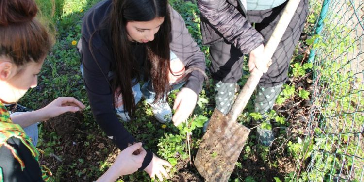 TekoJIN’ê bi jinên ciwan re li ser dîroka Kurdistanê perwerdeyek 3 rojan li dar xist