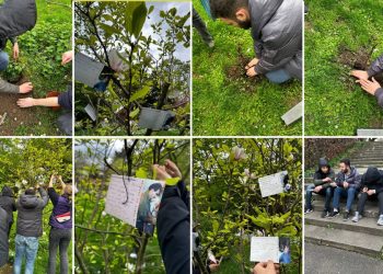 Ji bo rojbûna Rêber APO dar çandin