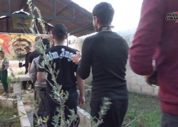 Ciwanên Şoreşger ên taxa Qudurbek bi çandina daran rojbûna Rêber Apo pîroz kirin