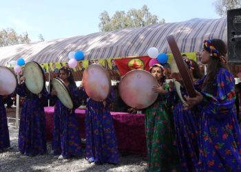 YJC a 3 kantonan “Festîvala Biharê” li darxist