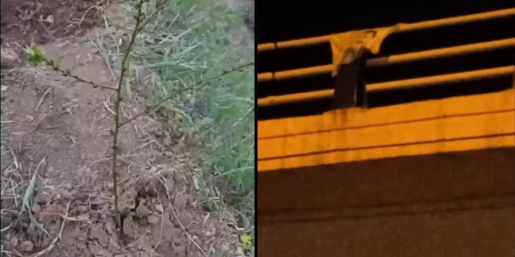 Ciwanên Komîteya Şehîd Cengaver Bahoz ala Rêbertî daliqandin