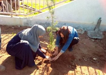 Jinên Ciwan ên Dirbêsiyê bi çandina daran 4’ê Nîsanê pîroz dikin