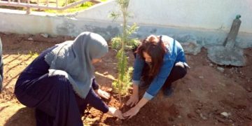 Jinên Ciwan ên Dirbêsiyê bi çandina daran 4’ê Nîsanê pîroz dikin