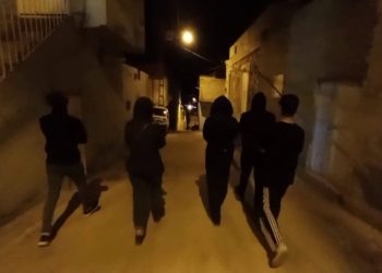 Ciwanên DEM’ê yên Merdînê ji bo Wanê daketin qadan