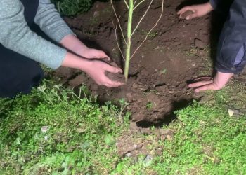 Ciwanên Başûr bi çalakiyên cuda cuda 4’ê Nîsanê pîrozkirin