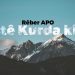 Rêber APO: Dostê Kurda kî ye?