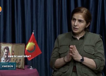 Dogû: Eger jin bi rêxistinî tevbigerin wê karibin sîstema dewletê ji holê rakin