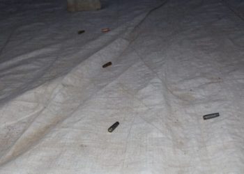 Di operasyona li Licê de Leşkerên Tirk kesek kuştin