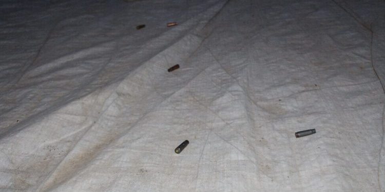 Di operasyona li Licê de Leşkerên Tirk kesek kuştin