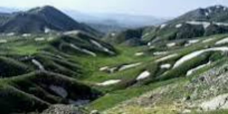 Li bejahiya Paloyê operasyona leşkerî hat destpêkirin