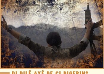 DI DILÊ AXÊ DE ÇI DIGERIN?