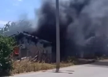 Çalakiyên Înîsiyatîfa Zarokên Agir li Edene, Antalya û Aydinê