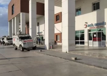 Li Mêrdînê cerdevanek hat kuştin