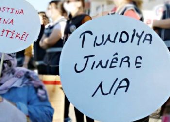 kustina jin politike