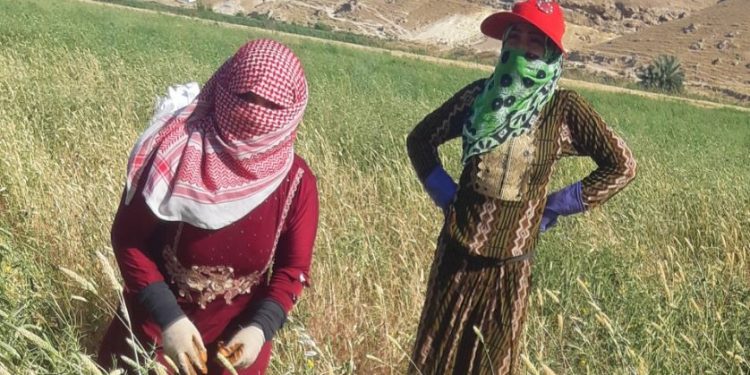 Yekîtiya Jinên Ciwan a Tebqa serdana karkerên zeviyan kir