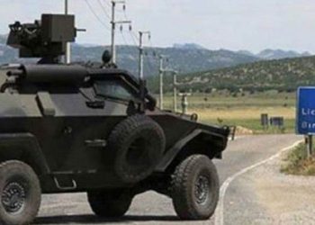 Li Licê serdegirtina malan