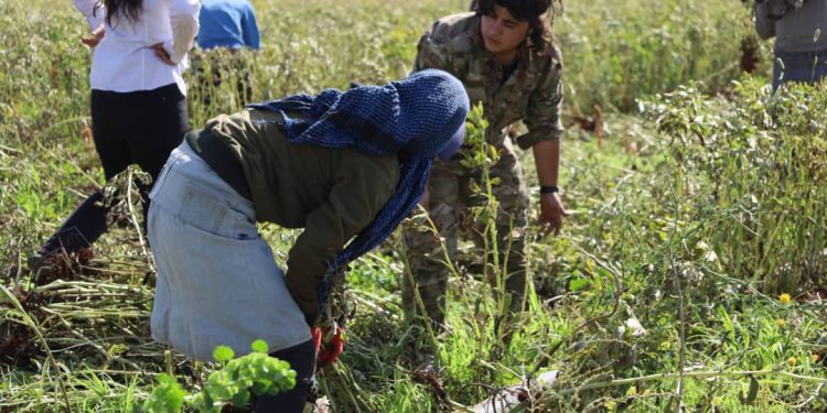 Jinên Ciwan ên Şehba serdana kedkarên çandiniyê kirin