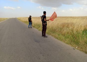 Ciwanên Şoreşger ên Kobanê zeviyên çandinî dijî dagirkeran diparêzin