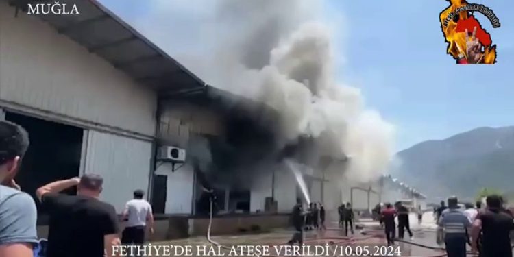 Înîsiyatîfa Zarokên Agir li Mûgla, Mêrsîn û Stenbolê çalakî pêk anîn