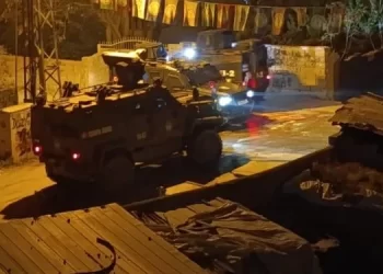 Ciwanên Wanê ji bo Rêber APO çalakî kirin