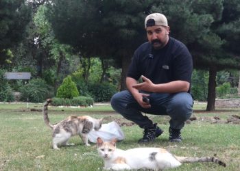 ‘Kesên jîngeh û lawirên Kurdistanê naparêzin, ti ferqa wan ji dijminên Kurdan nînin’