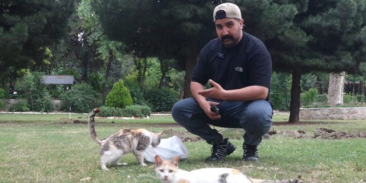 ‘Kesên jîngeh û lawirên Kurdistanê naparêzin, ti ferqa wan ji dijminên Kurdan nînin’